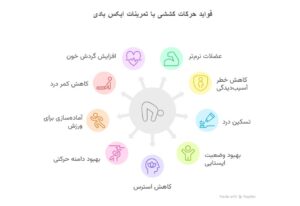 فواید تمرینات کششی ایکس بادی