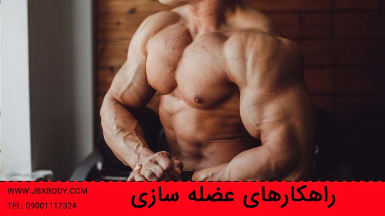 راهکارهای عضله سازی تصویر شاخص
