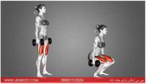 اسکات برای بانوان 6 خانمی در حال انجام اسکات دمبل