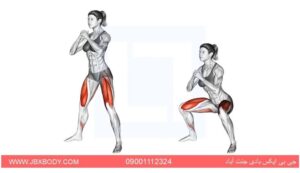 اسکات برای بانوان 12 اسکات سومو