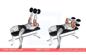 پرس سرشانه گریپ خنثی