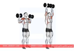 پرس سرشانه دمبل ایستاده