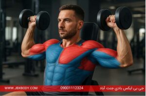 عضلات درگیر در پرس سرشانه دمبل