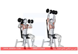پرس سرشانه دمبل نشسته